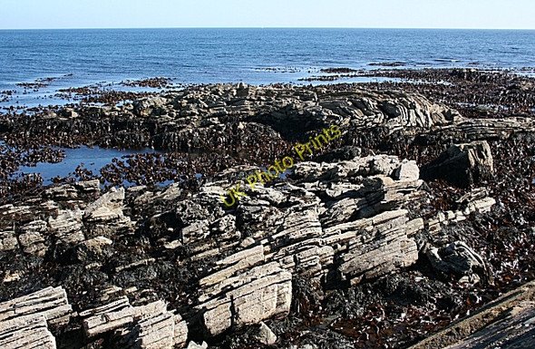 Photo 6"x4" Folded Rocks at Stake Ness Whitehills\/NJ6565 c2008