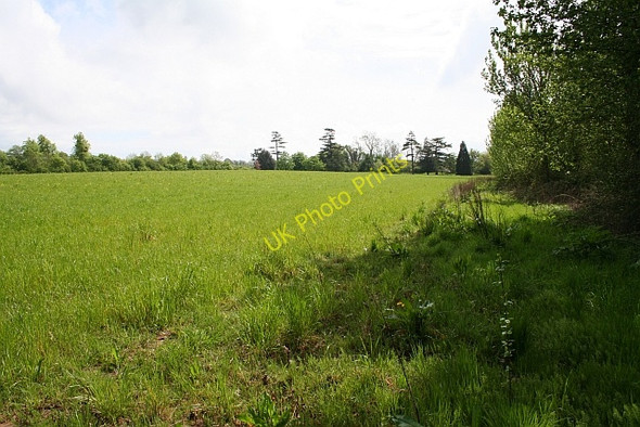Photo 6"x4" Field near Longdon Hall Buckbury c2008