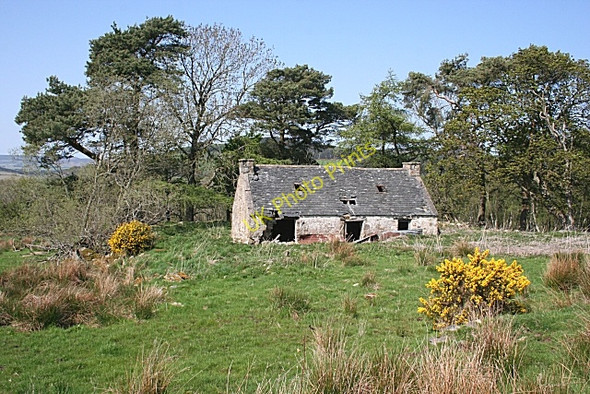 Photo 6"x4" Ruined Cottage Bogniebrae c2008 P1