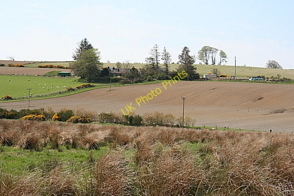 Photo 6"x4" Newton of Turtory Greenfold\/NJ6049 c2008