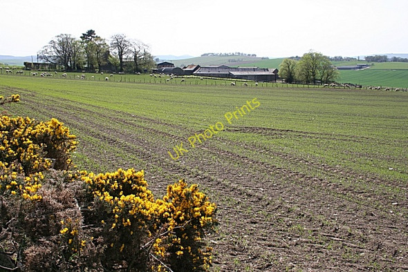 Photo 6"x4" Nether Comisty Corse\/NJ6040 c2008