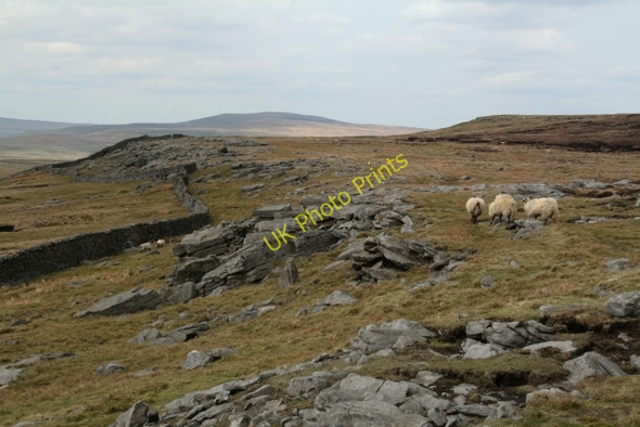 Photo 6"x4" The Western Edge of Conistone Moor Kettlewell c2008