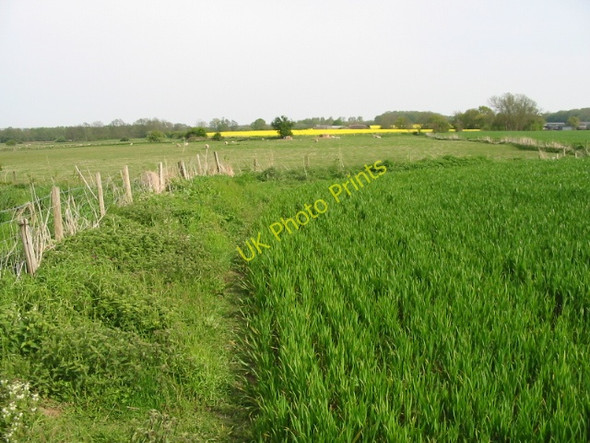 Photo 6"x4" The Stour Valley Walk towards Ashford Naccolt c2008