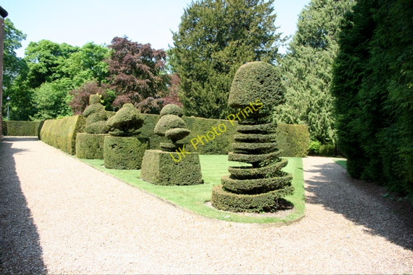 Photo 6"x4" Madingley Hall, topiary and grounds Madingley c2008