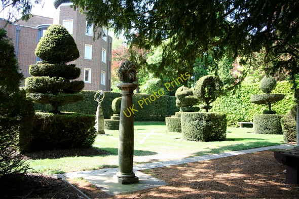 Photo 6"x4" Madingley Hall, topiary and grounds Madingley c2008 P1