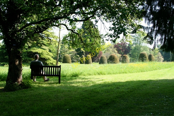 Photo 6"x4" Madingley Hall, topiary and grounds Madingley c2008 P2