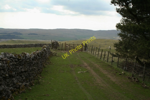 Photo 6"x4" Conistone Turf Road at New Close Allotments Conistone c2008
