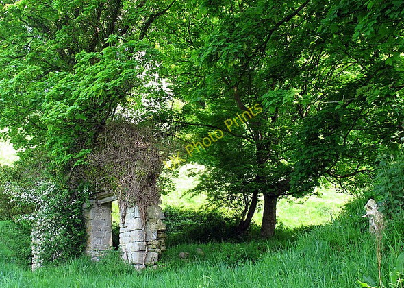 Photo 6"x4" All that remains Marshfield\/ST7773 c2008