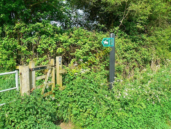 Photo 6"x4" Bridleway entrance, Collins Lane, Purton The Fox c2008