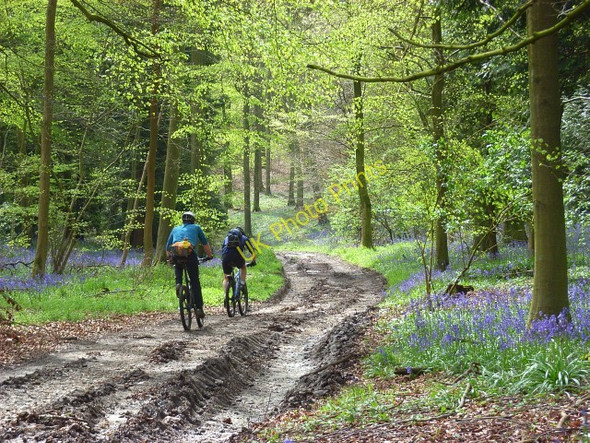 Photo 6"x4" Bridleway in Longhill Hanging Wood Northend\/SU7392 c2008