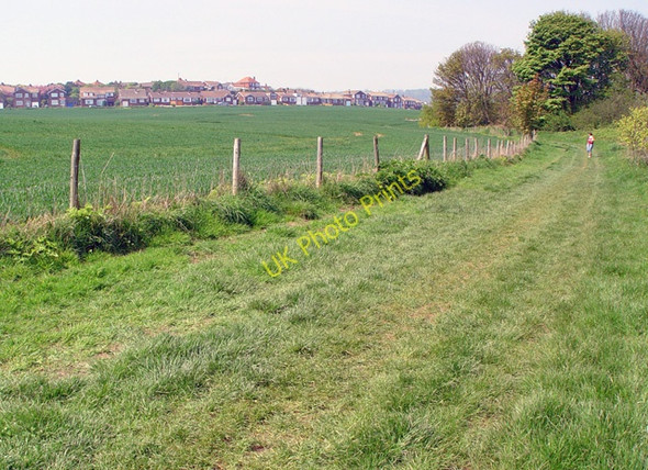 Photo 6"x4" The Cleveland Way above Osgodby Eastfield\/TA0484 c2008