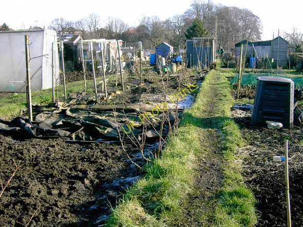 Photo 6"x4" Allotments at Hough End Barlow Moor c2006