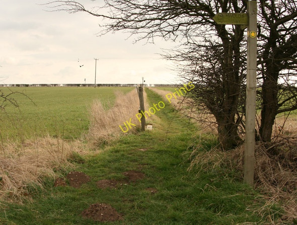 Photo 6"x4" A short piece of Wolds Way High Hunsley c2008
