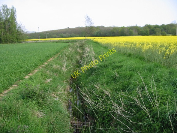 Photo 6"x4" Looking E along a drainage ditch between the fields Willesborough Lees c2008