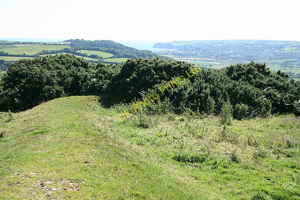 Photo 6"x4" Musbury: Musbury Castle Musbury c2007