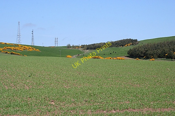Photo 6"x4" Looking towards Bruxie Hill Drumlithie c2008