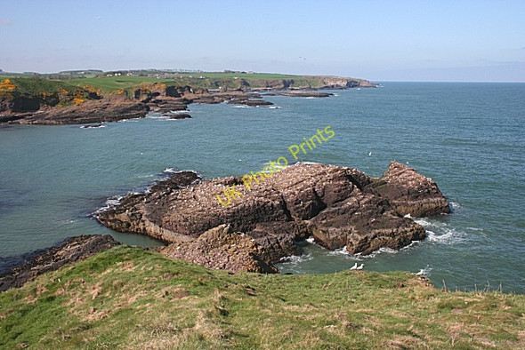 Photo 6"x4" Todhead Point Catterline c2008