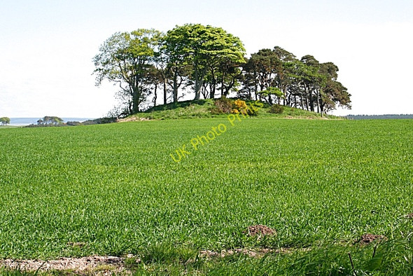 Photo 6"x4" Cross Hillock Lochhill\/NJ2964 c2008