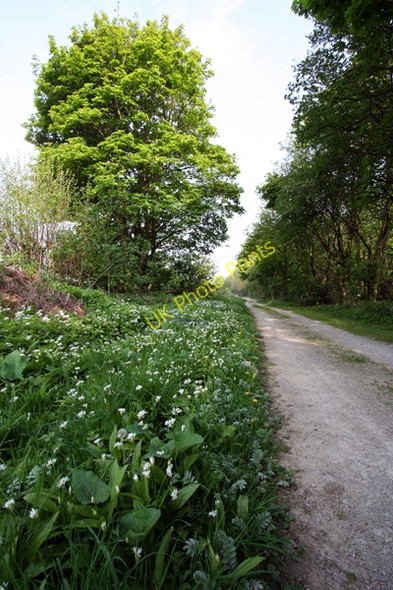 Photo 6"x4" Track next to Whittle Car Kiddal Lane End c2008