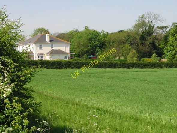 Photo 6"x4" The Firs, Ripple Road Kingsdown\/TR3748 c2008