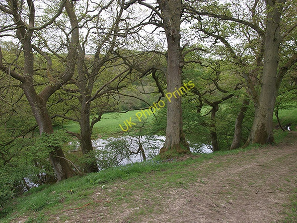 Photo 6"x4" Pond by Ridge Lane Easington\/NZ7417 c2008