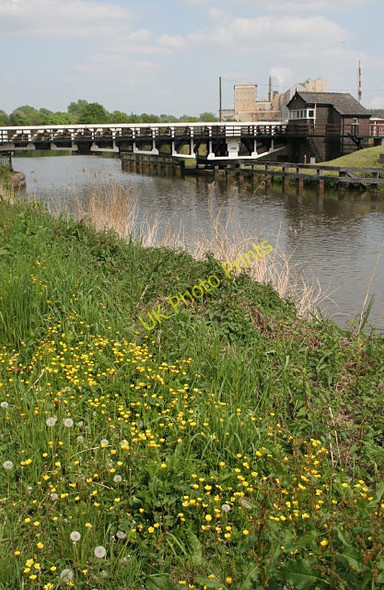 Photo 6"x4" Buttercups by the Weaver Northwich c2008