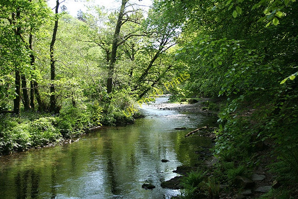 Photo 6"x4" Buckland Monachorum: above Grenofen Bridge Grenofen c2008