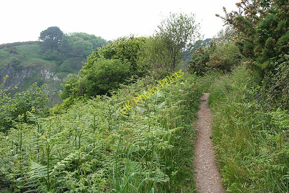 Photo 6"x4" Kingswear: near Pudcombe Cove Kingston\/SX9051 c2008