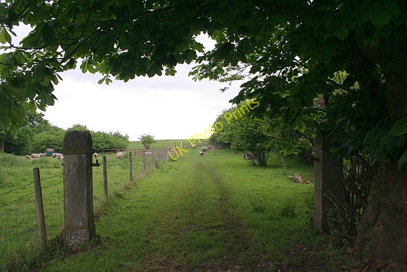Photo 6"x4" Old gateposts to nowhere Church End\/SO8341 c2008