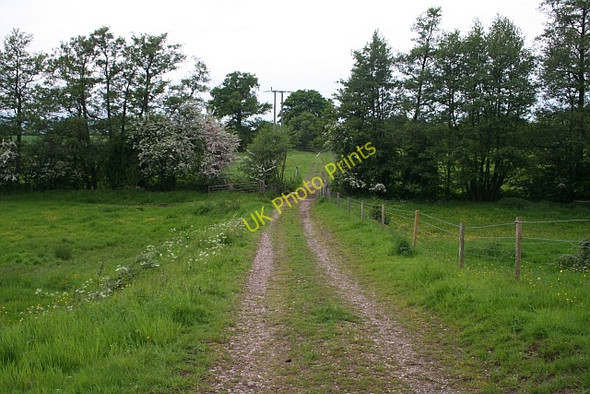 Photo 6"x4" The track towards Lodge Farm Church End\/SO8341 c2008