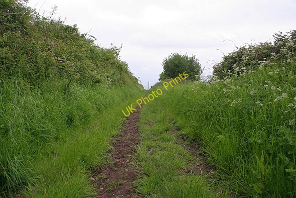 Photo 6"x4" Old road to Lodge Farm Church End\/SO8341 c2008