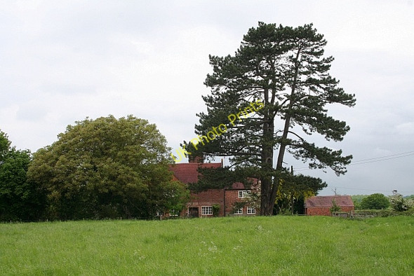 Photo 6"x4" Lodge Farm Church End\/SO8341 c2008