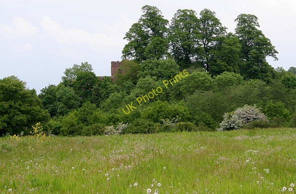 Photo 6"x4" Meadow near Lodge Farm Church End\/SO8341 c2008