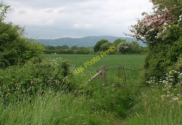 Photo 6"x4" Kissing gate near Lodge Farm Church End\/SO8341 c2008