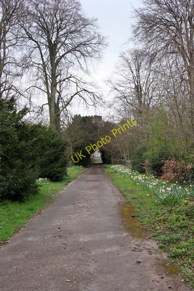 Photo 6"x4" The path to St Mary's Church, Sledmere Sledmere c2008