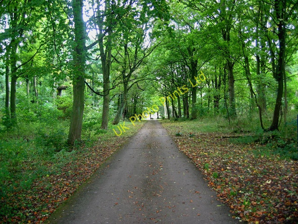 Photo 6"x4" Private woodland, near Croxton Kerrial Saltby c2005