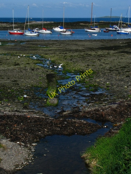 Photo 6"x4" Shoreline and stream, Groomsport Groomsport c2008