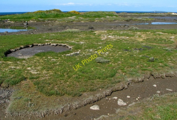 Photo 6"x4" Mudflats, Ballymacormick Point Groomsport c2008