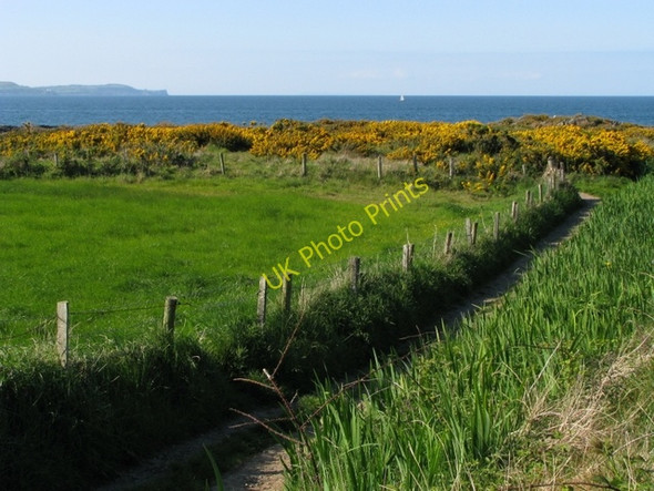 Photo 6"x4" Path, Ballymacormick Point Groomsport c2008