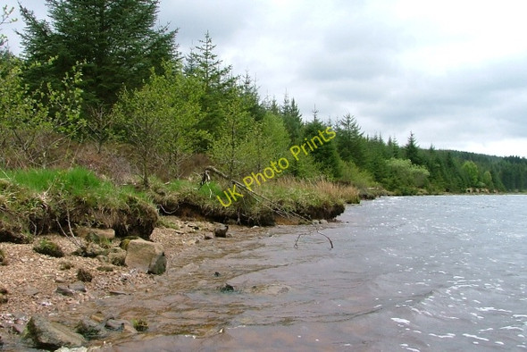 Photo 6"x4" Northern Shore of Halfpenny Rigg Rushy Knowe\/NY6588 c2008