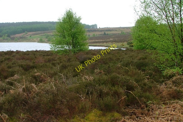 Photo 6"x4" Southern Shore of Kielder Water Yarrow\/NY7187 c2008