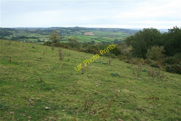 Photo 6"x4" View from Ball Hill towards Northleigh Farway c2007