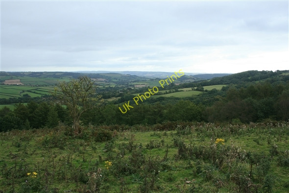 Photo 6"x4" Towards Great Pen from Ball Hill Farway c2007