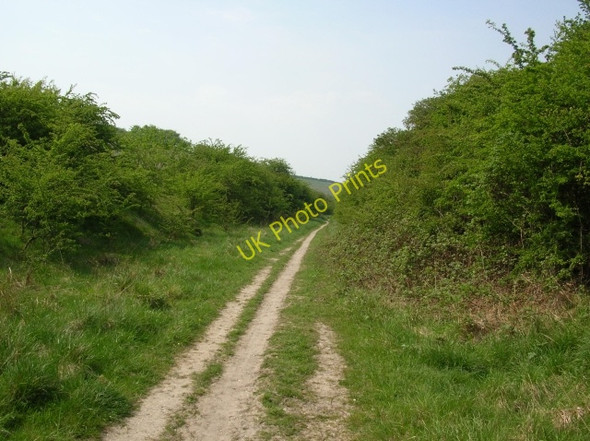 Photo 6"x4" Sustrans route 66 Goodmanham c2008