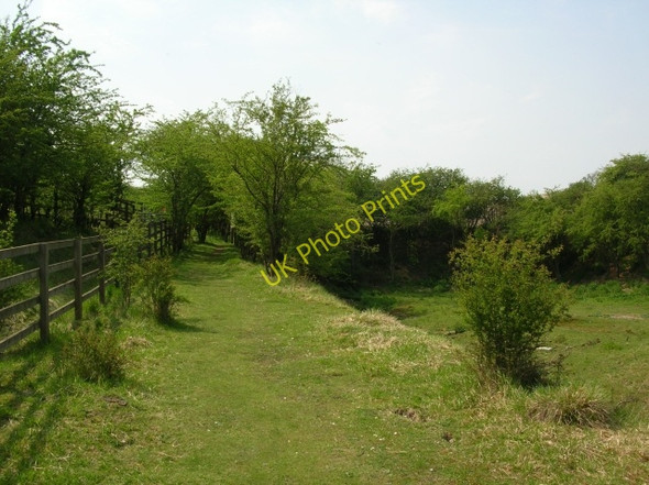 Photo 6"x4" Kiplingcotes Chalk Pit Goodmanham c2008