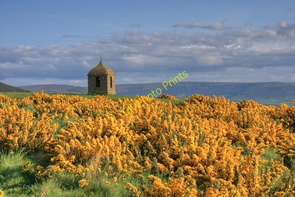 Photo 6"x4" The Summerhouse Great Ayton c2008