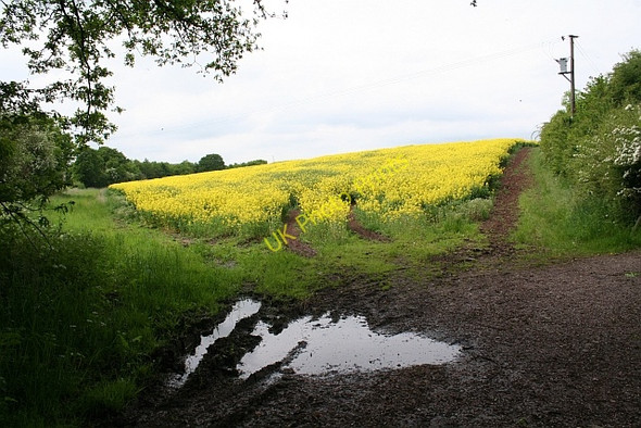 Photo 6"x4" Entrance to rape field Church End\/SO8341 c2008