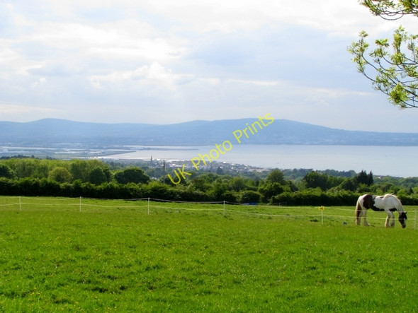 Photo 6"x4" Field above Holywood Cultra c2008