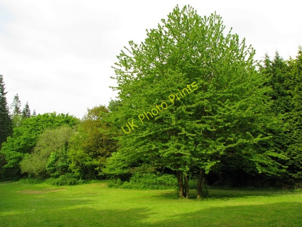 Photo 6"x4" Glenlyon, Holywood [10] Holywood\/J3979 c2008