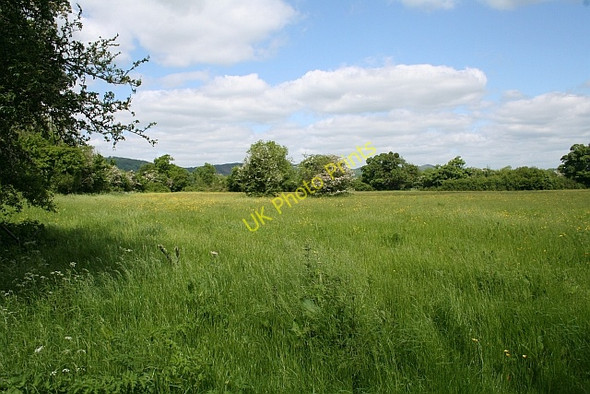 Photo 6"x4" Footpath near Rye Street Rye Street c2008 P1
